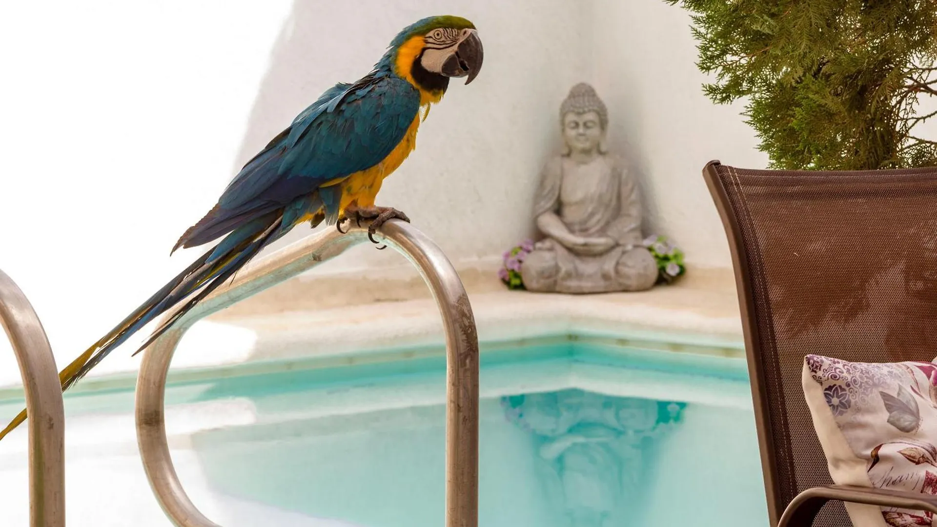 Apartahotel Marias House - Magnifique Apartments Santa Marta